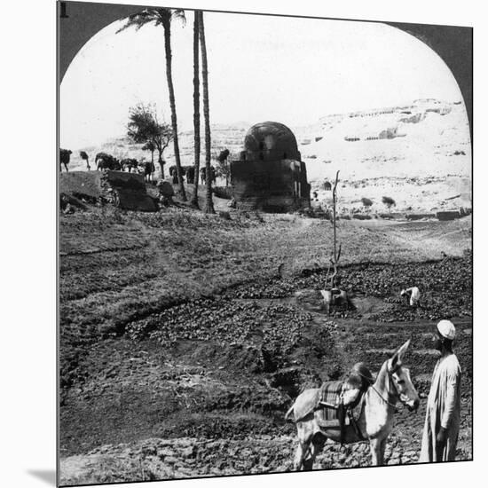 Cliff Tombs of the Lords of Assiut, Egypt, 1905-Underwood & Underwood-Mounted Photographic Print