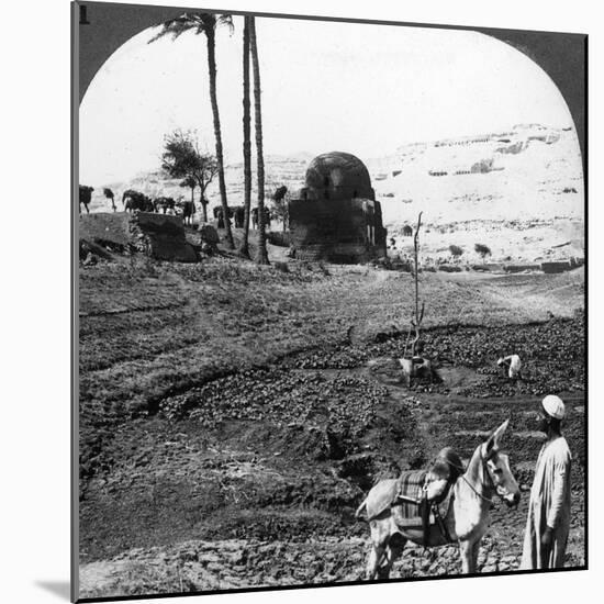 Cliff Tombs of the Lords of Assiut, Egypt, 1905-Underwood & Underwood-Mounted Photographic Print