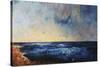 Cliff View-Tim O'toole-Stretched Canvas