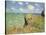 Cliff Walk at Pourville, 1882-Claude Monet-Stretched Canvas