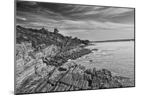 Cliff Walk Newport Rhode Island B/W-null-Mounted Photo