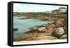 Cliff Walk, Newport, Rhode Island-null-Framed Stretched Canvas