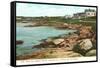 Cliff Walk, Newport, Rhode Island-null-Framed Stretched Canvas