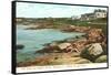 Cliff Walk, Newport, Rhode Island-null-Framed Stretched Canvas