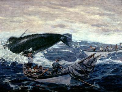 Sperm Whaling Fast Boat Ca. 1900-1930