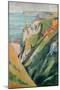 Cliffs and Sea-Emile Bernard-Mounted Giclee Print