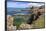 Cliffs around Treshnish Point-Gary Cook-Framed Photographic Print