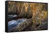 Cliffs at Cabo Sard?o, Natural Park of South West Alentejano and Costa Vicentina, Portugal-Quinta-Framed Stretched Canvas