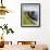 Cliffs at Downpatrick Head, Near Ballycastle, County Mayo, Connacht, Republic of Ireland (Eire)-Gary Cook-Framed Photographic Print displayed on a wall