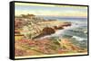 Cliffs at La Jolla, San Diego, California-null-Framed Stretched Canvas