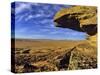 Cliffs Edge at Ulm Pishkun Buffalo Jump, Great Falls, Montana-Chuck Haney-Stretched Canvas