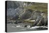 Cliffs Near Ashleam, Achill Island, County Mayo, Connacht, Republic of Ireland-Gary Cook-Stretched Canvas