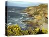 Cliffs Near Findhorn on the Morayfirth, Scotland, United Kingdom, Europe-David Lomax-Stretched Canvas