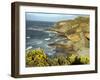 Cliffs Near Findhorn on the Morayfirth, Scotland, United Kingdom, Europe-David Lomax-Framed Photographic Print