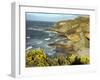 Cliffs Near Findhorn on the Morayfirth, Scotland, United Kingdom, Europe-David Lomax-Framed Photographic Print