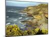 Cliffs Near Findhorn on the Morayfirth, Scotland, United Kingdom, Europe-David Lomax-Mounted Photographic Print