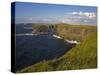 Cliffs Near Kilkee, Loop Head, County Clare, Munster, Republic of Ireland, Europe-Richard Cummins-Stretched Canvas