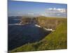 Cliffs Near Kilkee, Loop Head, County Clare, Munster, Republic of Ireland, Europe-Richard Cummins-Mounted Photographic Print
