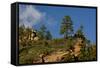 Cliffs, Oak Creek Canyon, West Fork, Coconino Nf, Sedona, Arizona, USA-Michel Hersen-Framed Stretched Canvas