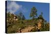 Cliffs, Oak Creek Canyon, West Fork, Coconino Nf, Sedona, Arizona, USA-Michel Hersen-Stretched Canvas