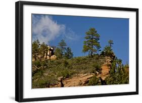 Cliffs, Oak Creek Canyon, West Fork, Coconino Nf, Sedona, Arizona, USA-Michel Hersen-Framed Photographic Print
