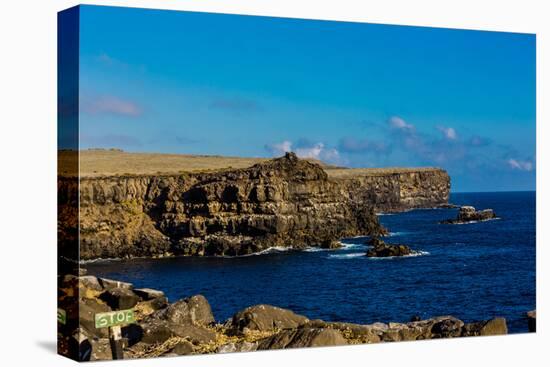 Cliffs of Espanola Island, Galapagos Islands, UNESCO World Heritage Site, Ecuador, South America-Laura Grier-Stretched Canvas