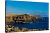 Cliffs of Espanola Island, Galapagos Islands, UNESCO World Heritage Site, Ecuador, South America-Laura Grier-Stretched Canvas