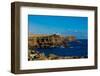 Cliffs of Espanola Island, Galapagos Islands, UNESCO World Heritage Site, Ecuador, South America-Laura Grier-Framed Photographic Print