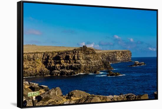 Cliffs of Espanola Island, Galapagos Islands, UNESCO World Heritage Site, Ecuador, South America-Laura Grier-Framed Stretched Canvas