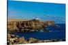 Cliffs of Espanola Island, Galapagos Islands, UNESCO World Heritage Site, Ecuador, South America-Laura Grier-Stretched Canvas