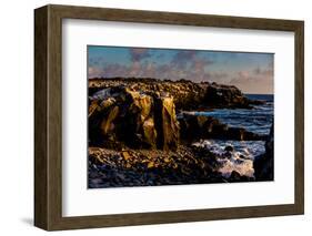 Cliffs of Espanola Island, Galapagos Islands, UNESCO World Heritage Site, Ecuador, South America-Laura Grier-Framed Photographic Print