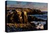 Cliffs of Espanola Island, Galapagos Islands, UNESCO World Heritage Site, Ecuador, South America-Laura Grier-Stretched Canvas