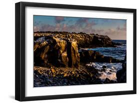 Cliffs of Espanola Island, Galapagos Islands, UNESCO World Heritage Site, Ecuador, South America-Laura Grier-Framed Photographic Print