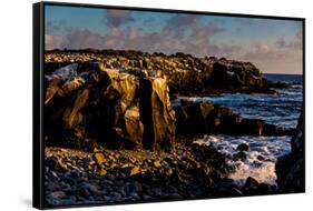 Cliffs of Espanola Island, Galapagos Islands, UNESCO World Heritage Site, Ecuador, South America-Laura Grier-Framed Stretched Canvas