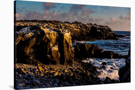 Cliffs of Espanola Island, Galapagos Islands, UNESCO World Heritage Site, Ecuador, South America-Laura Grier-Stretched Canvas