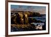 Cliffs of Espanola Island, Galapagos Islands, UNESCO World Heritage Site, Ecuador, South America-Laura Grier-Framed Photographic Print