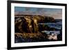 Cliffs of Espanola Island, Galapagos Islands, UNESCO World Heritage Site, Ecuador, South America-Laura Grier-Framed Photographic Print