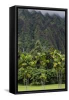 Cliffs of Koolau Mountains Above Palm Trees, Oahu, Hawaii, USA-Charles Crust-Framed Stretched Canvas