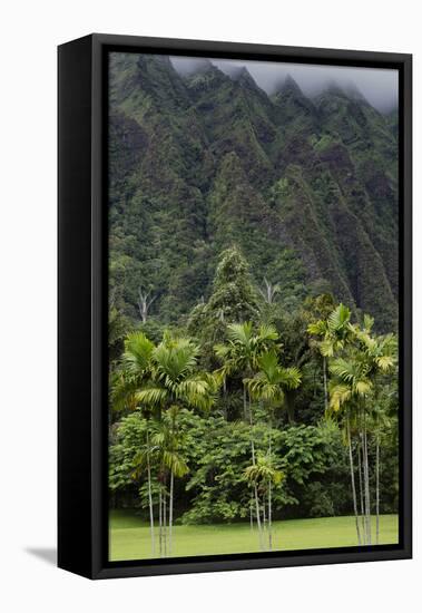 Cliffs of Koolau Mountains Above Palm Trees, Oahu, Hawaii, USA-Charles Crust-Framed Stretched Canvas