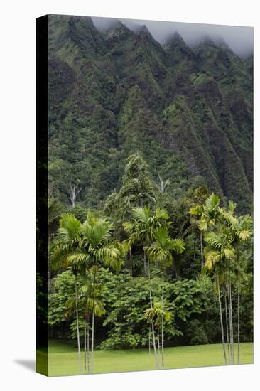 Cliffs of Koolau Mountains Above Palm Trees, Oahu, Hawaii, USA-Charles Crust-Stretched Canvas