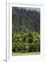 Cliffs of Koolau Mountains Above Palm Trees, Oahu, Hawaii, USA-Charles Crust-Framed Premium Photographic Print