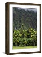 Cliffs of Koolau Mountains Above Palm Trees, Oahu, Hawaii, USA-Charles Crust-Framed Photographic Print