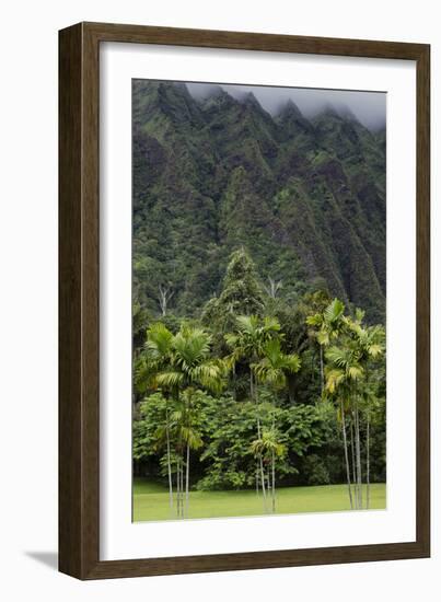 Cliffs of Koolau Mountains Above Palm Trees, Oahu, Hawaii, USA-Charles Crust-Framed Photographic Print