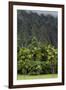 Cliffs of Koolau Mountains Above Palm Trees, Oahu, Hawaii, USA-Charles Crust-Framed Photographic Print