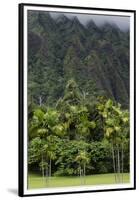 Cliffs of Koolau Mountains Above Palm Trees, Oahu, Hawaii, USA-Charles Crust-Framed Premium Photographic Print