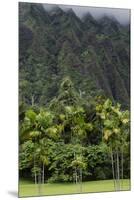 Cliffs of Koolau Mountains Above Palm Trees, Oahu, Hawaii, USA-Charles Crust-Mounted Premium Photographic Print