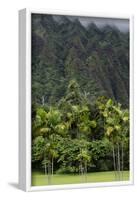 Cliffs of Koolau Mountains Above Palm Trees, Oahu, Hawaii, USA-Charles Crust-Framed Photographic Print