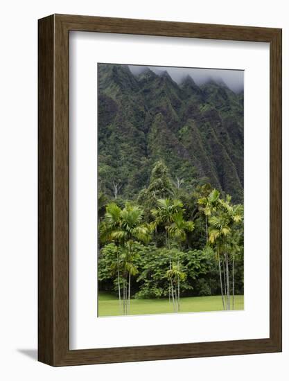 Cliffs of Koolau Mountains Above Palm Trees, Oahu, Hawaii, USA-Charles Crust-Framed Photographic Print