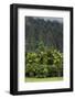 Cliffs of Koolau Mountains Above Palm Trees, Oahu, Hawaii, USA-Charles Crust-Framed Photographic Print