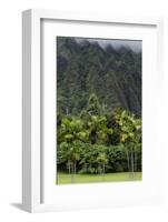 Cliffs of Koolau Mountains Above Palm Trees, Oahu, Hawaii, USA-Charles Crust-Framed Photographic Print